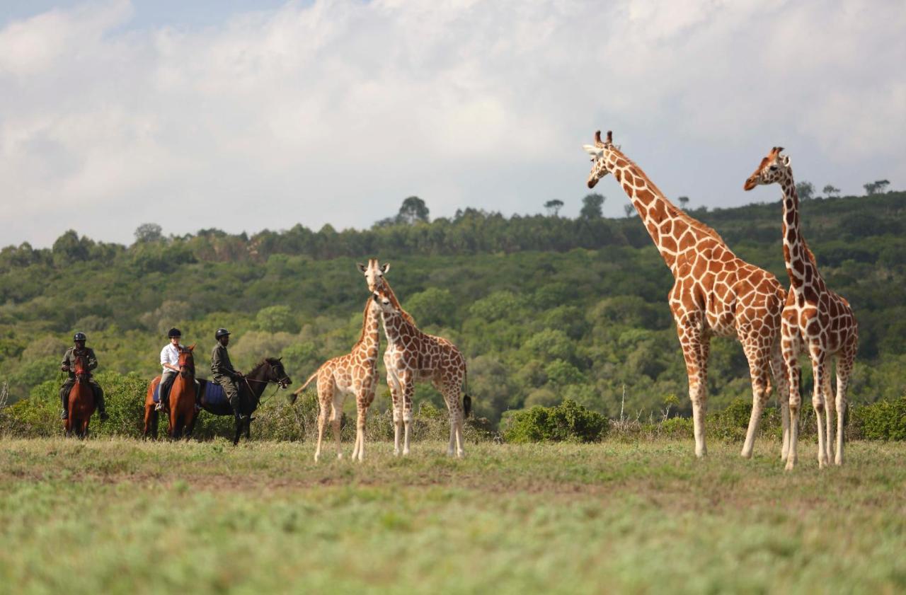 Hotel The Aberdare Country Club Mweiga Exteriér fotografie