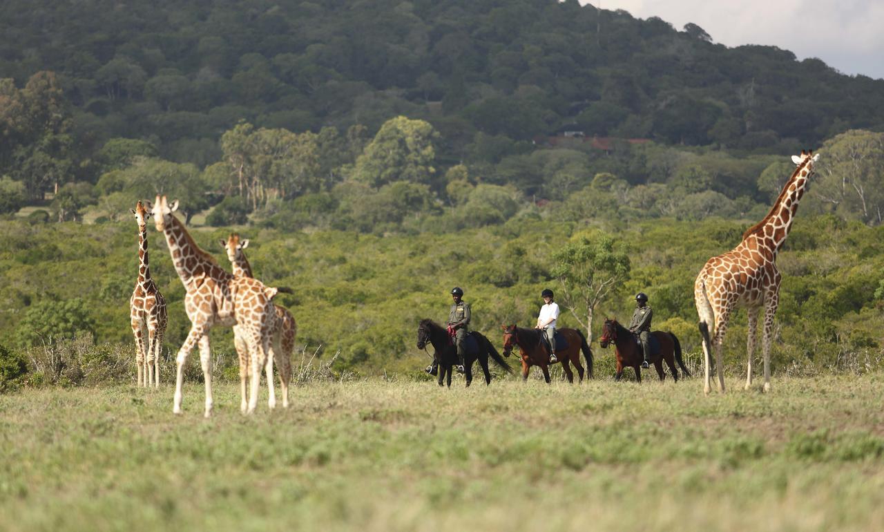 Hotel The Aberdare Country Club Mweiga Exteriér fotografie